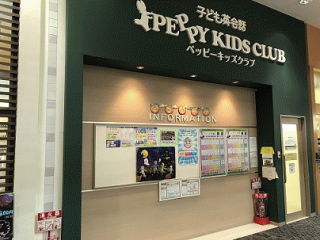 【ペッピーキッズ】専用　2セット分 ペッピーキッズ教材セット