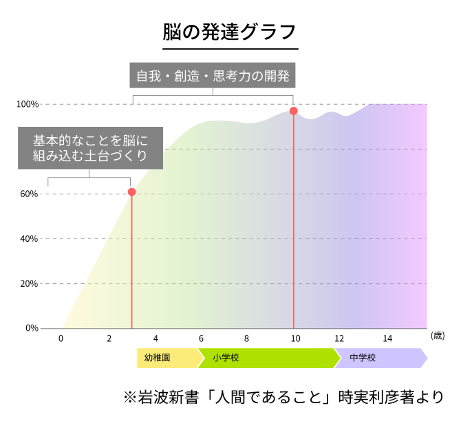 脳の発達グラフ