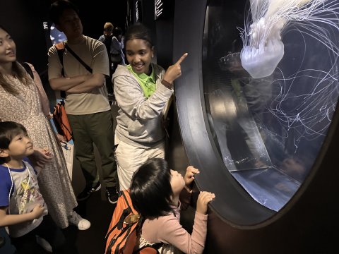 親子イベント_水族館IMG_3364.jpeg