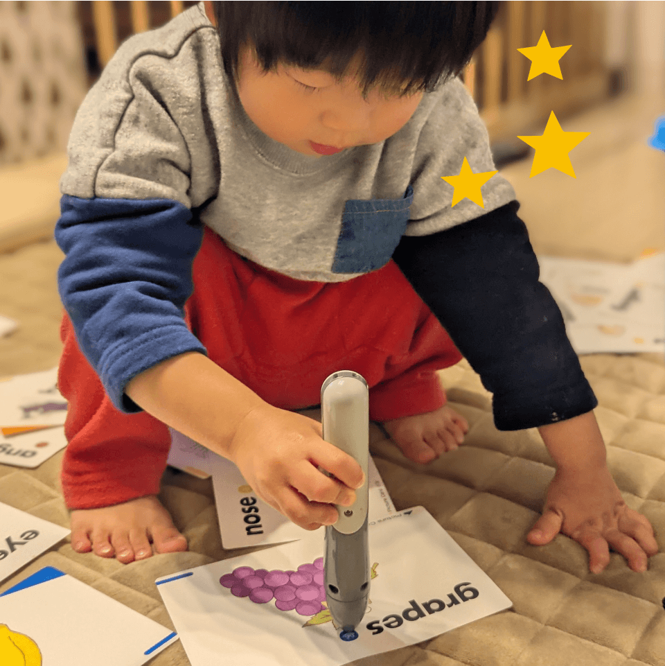 山口県 2歳　松浦光希さんのイメージ