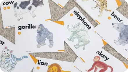 英語カードの写真