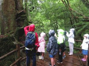 ヤクスギランド