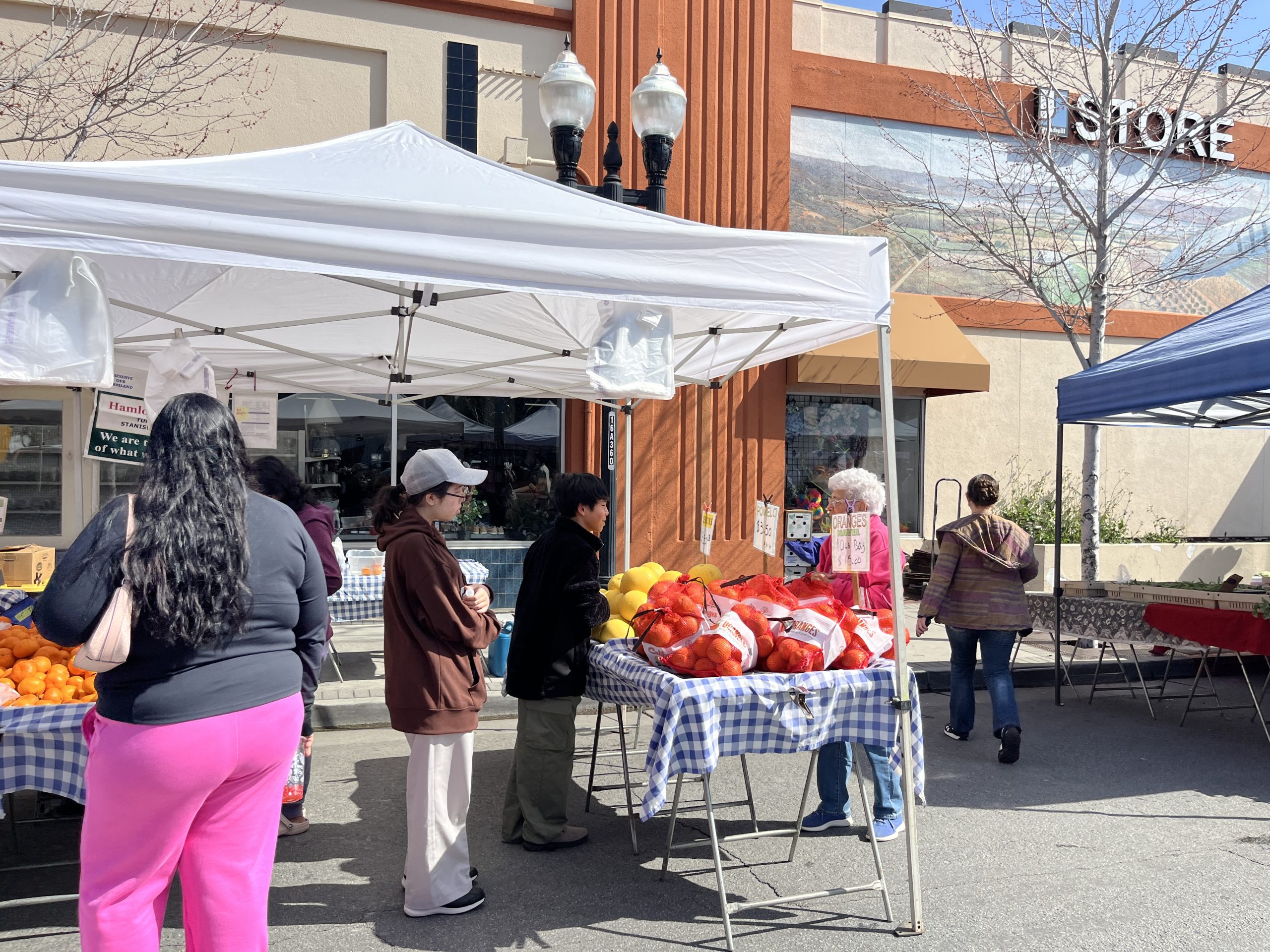 サンフランシスコ社会科見学2025