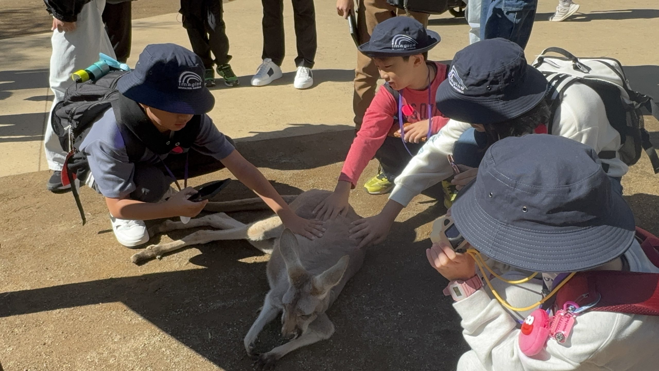 Australian Adventure 2025